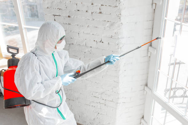 Pikeville, KY Mold Removal & Remediation Company