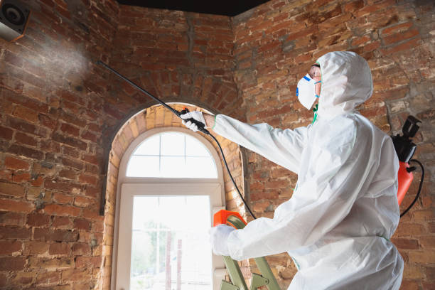 Mold Remediation for Vacation Homes in Pikeville, KY